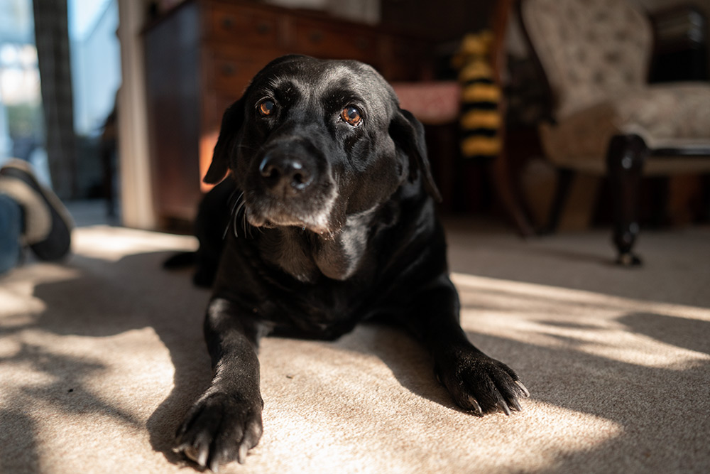 Sony a7r III camera Sample-02 Sony a7r III camera Sample-02